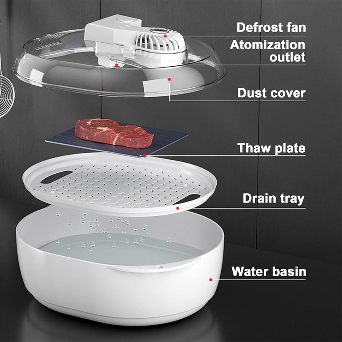 Meat Defroasting Machine